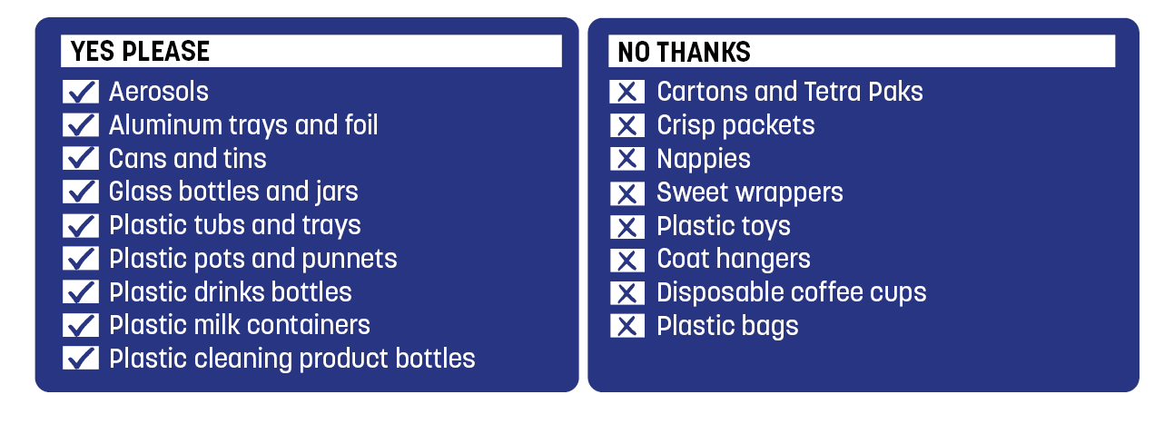 blue bin guide yes and no