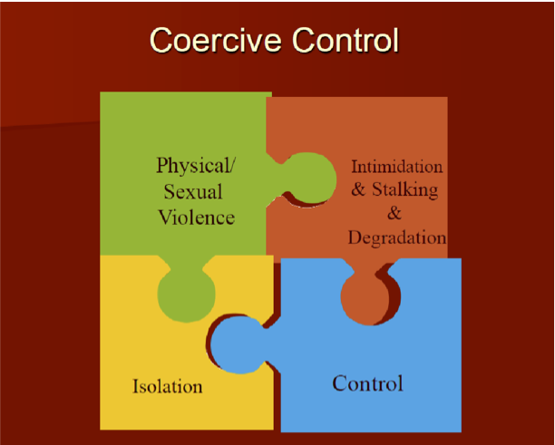 Coercive control puzzle pieces