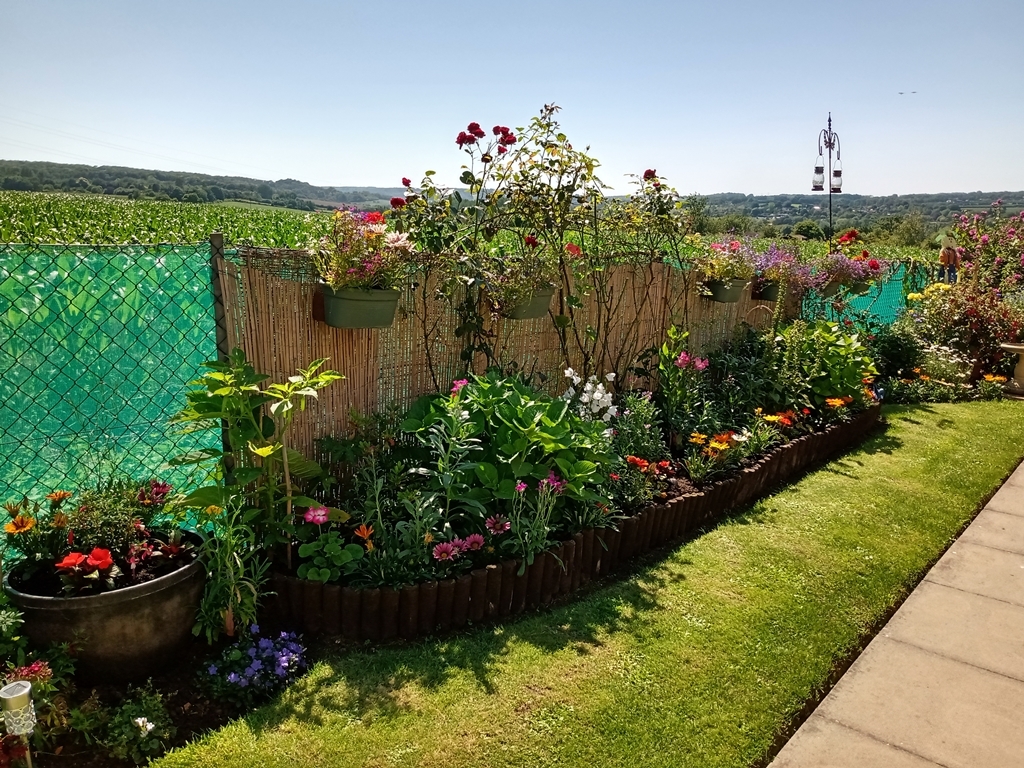 Tenants' beautiful gardens scoop awards in annual competition