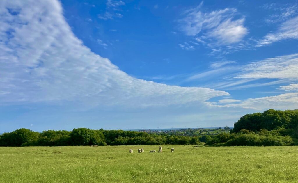 Gorrell Valley Nature Reserve