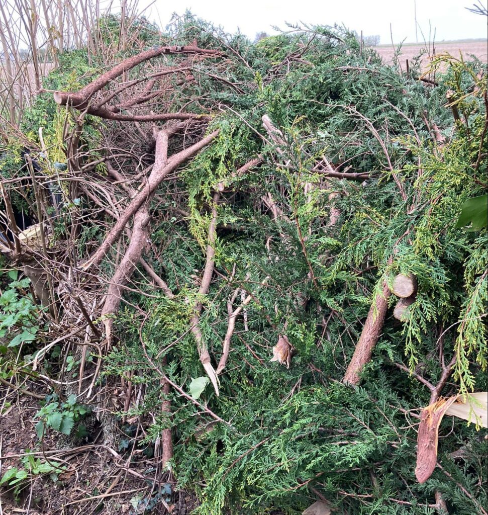 flytipped garden waste