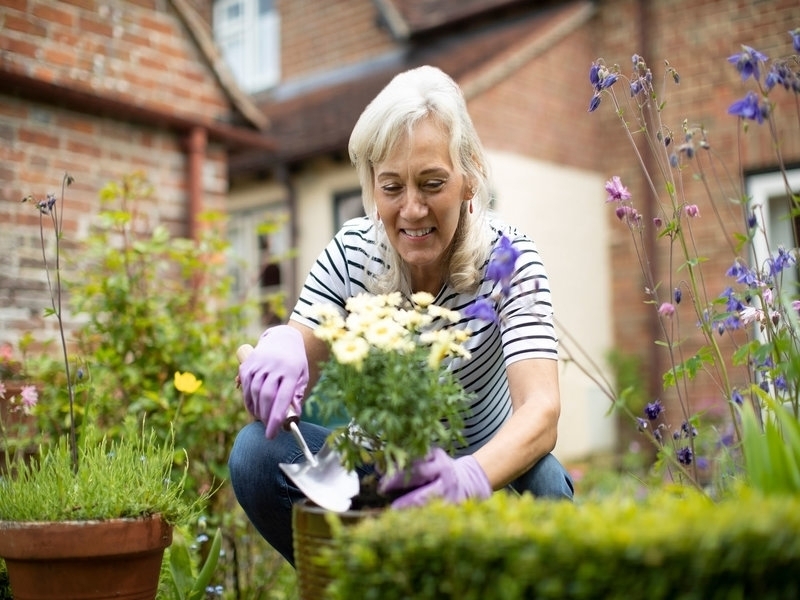 Advice on offer as life gets harder for gardeners